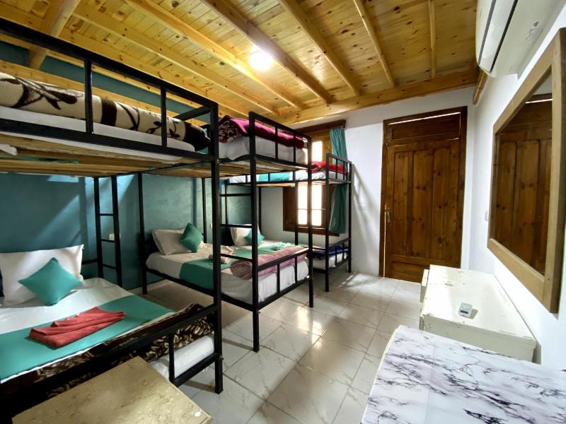 Octopus Hotel - image 15