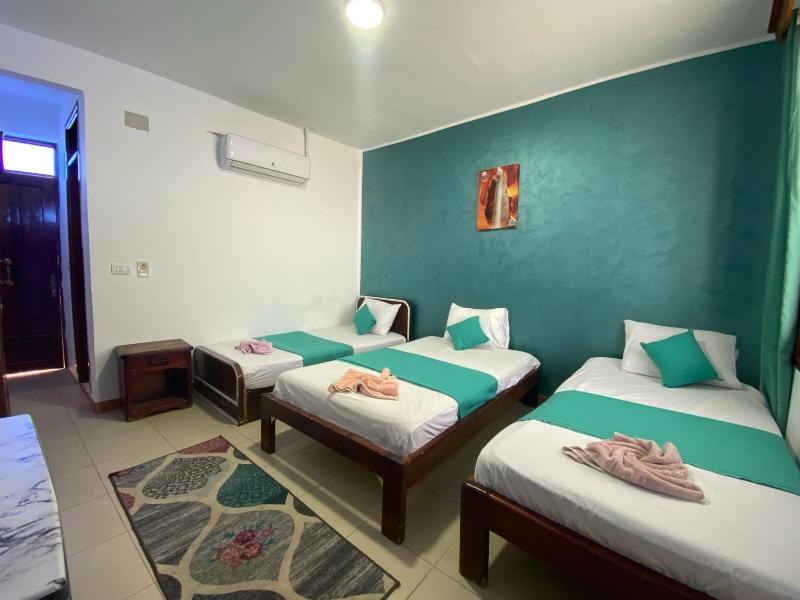 Octopus Hotel - image 9