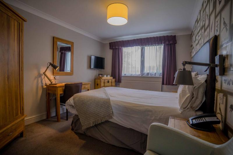 Double Room image 3