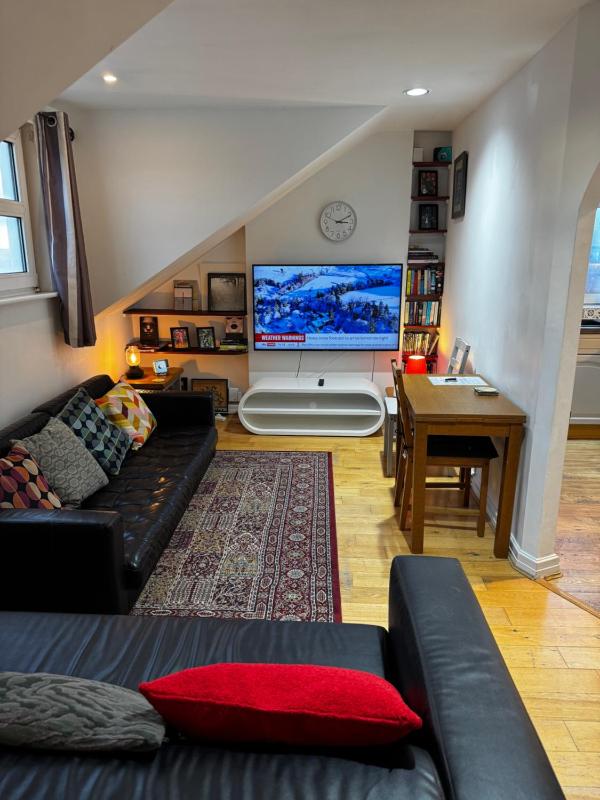 One-Bedroom Apartment image 4