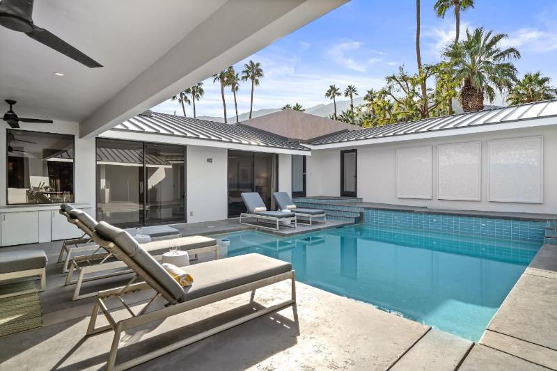 Palm Springs Confidential - image 15