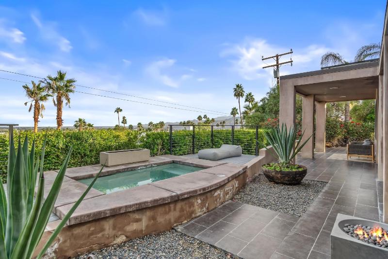 Palm Springs Confidential - image 4