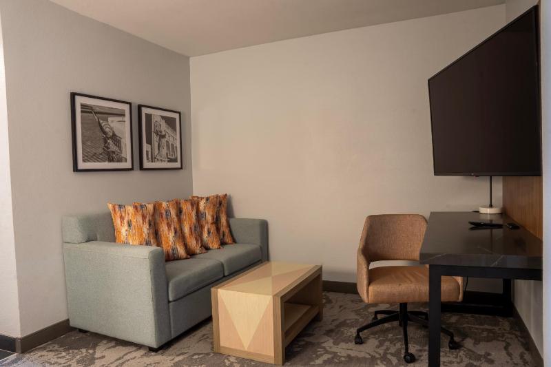 Junior King Suite with Seating Area image 3