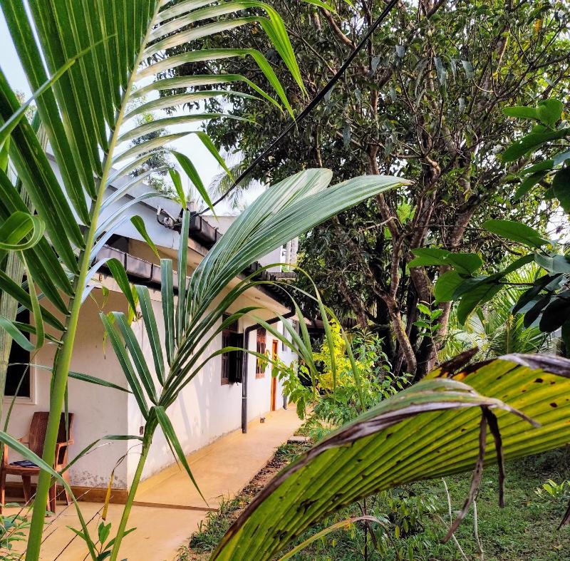 Green Eyes Villa - image 12