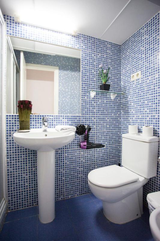 One-Bedroom Apartment (5 Adults) image 2