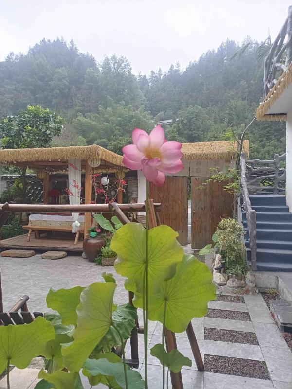 Xiangzixi Homestay-Inside the Park-no queues Enter-English Service-free Tour Itinerary Planning - image 11