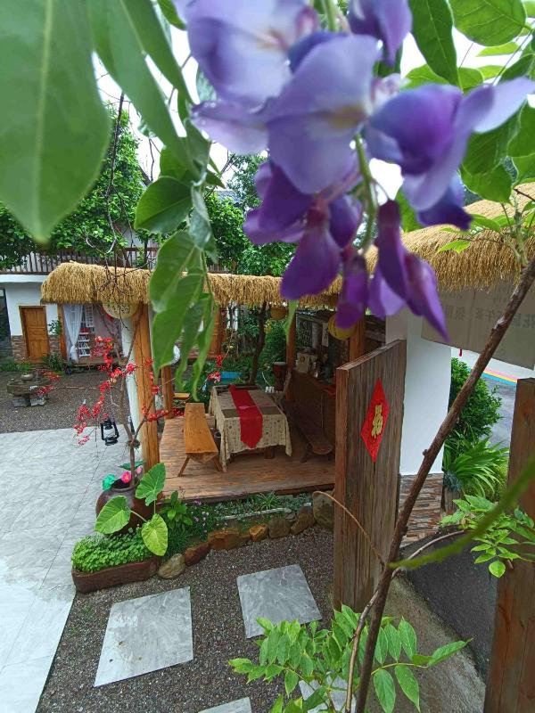 Xiangzixi Homestay-Inside the Park-no queues Enter-English Service-free Tour Itinerary Planning - image 21