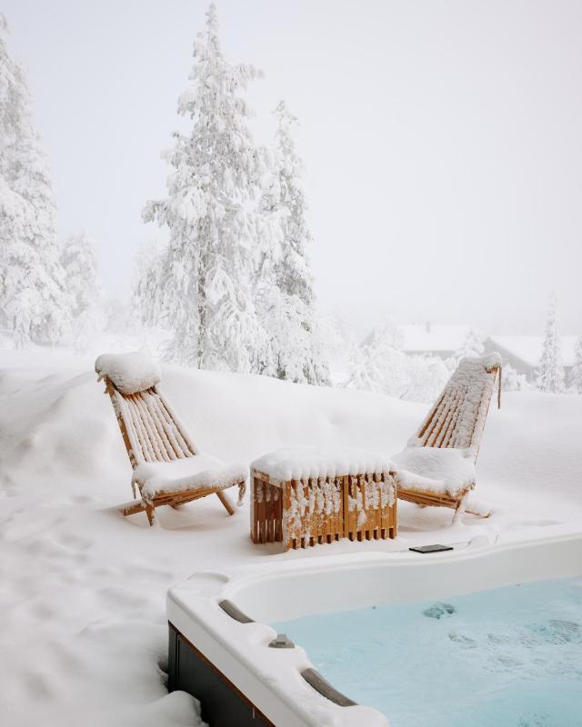 Luxury Villa Utsun Otso inc Hot Tub - image 46