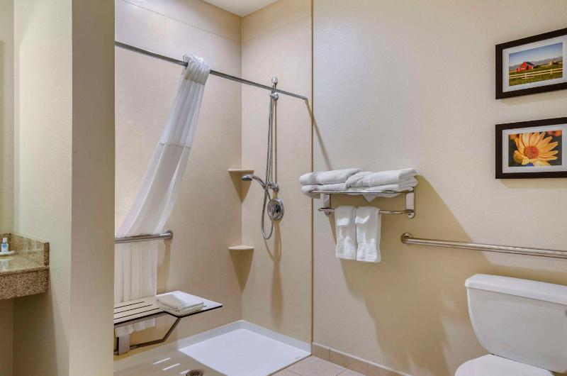 Standard King Suite with Sofa-Bed and Bathtub - Accessible/Non-Smoking image 2