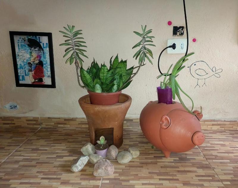 @hostel_vibe_descolada - image 16