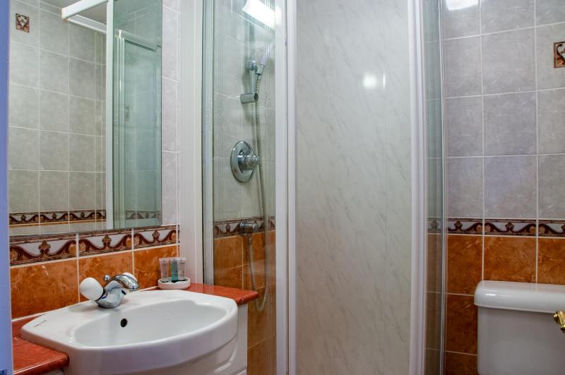 Single Room image 4