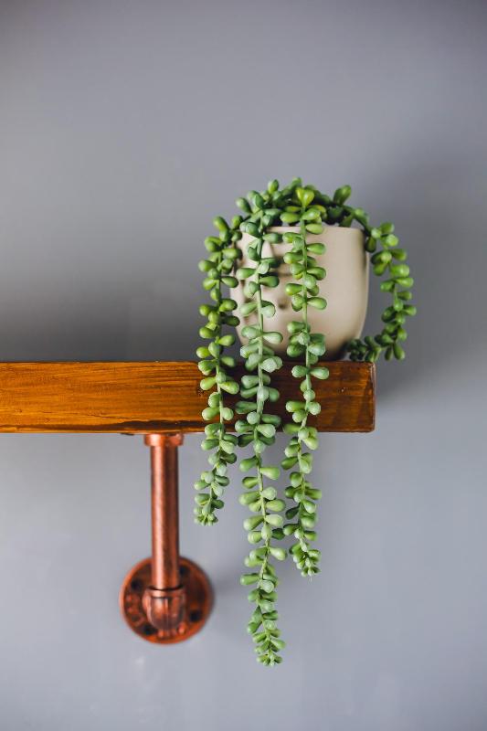 Quadruple Room with Private Bathroom image 3