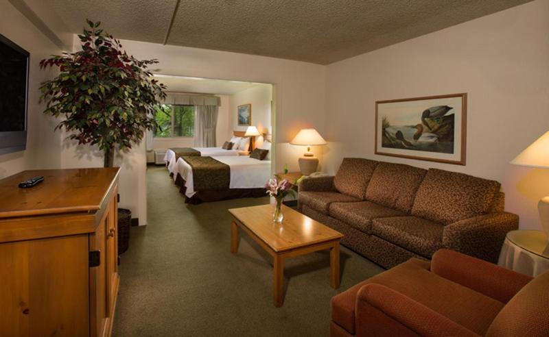 Superior Suite image 1