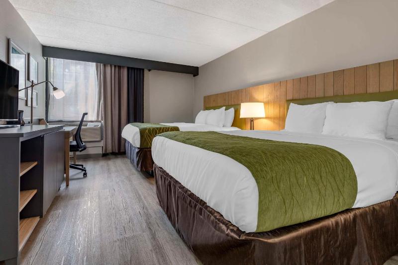 Standard Queen Room with Two Queen Beds - Non Smoking  image 1