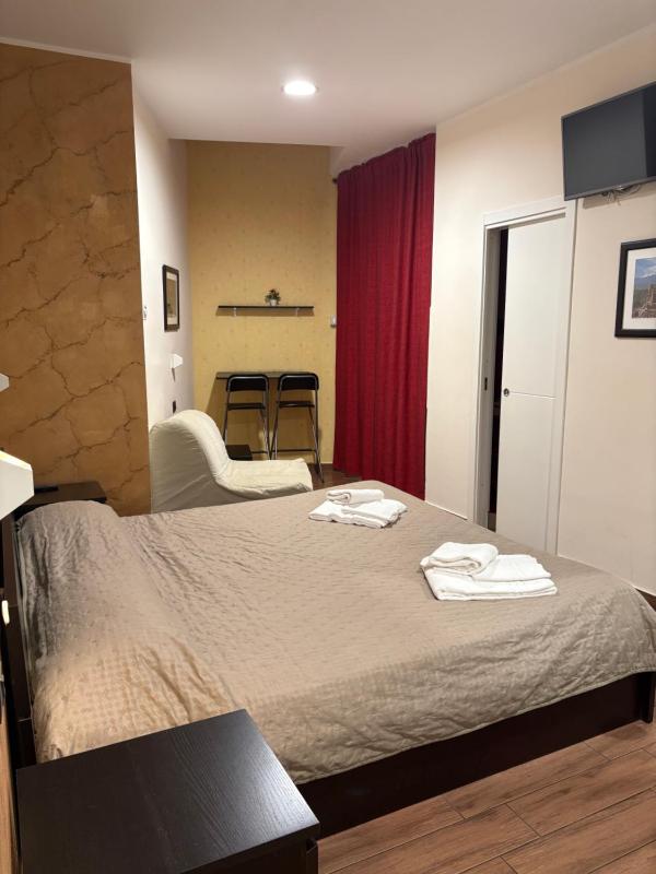 Double or Twin Room with Skylight  image 1