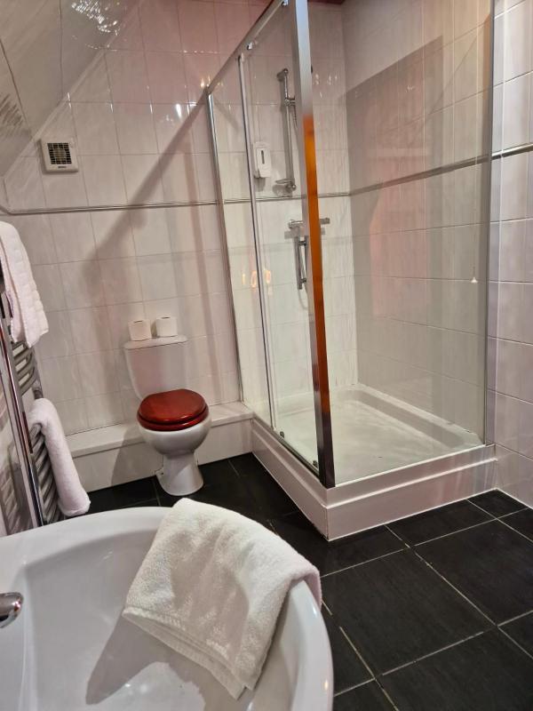 Single Room image 1