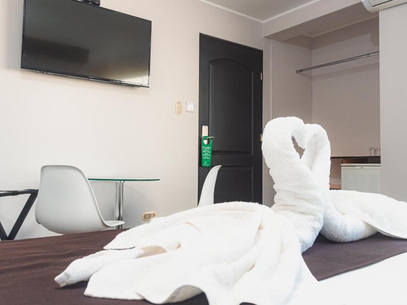 Hotel Ferre Miraflores - image 3