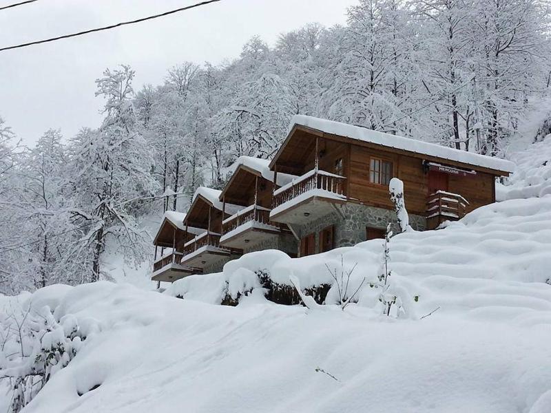 Two-Bedroom with Waterfall View image 3