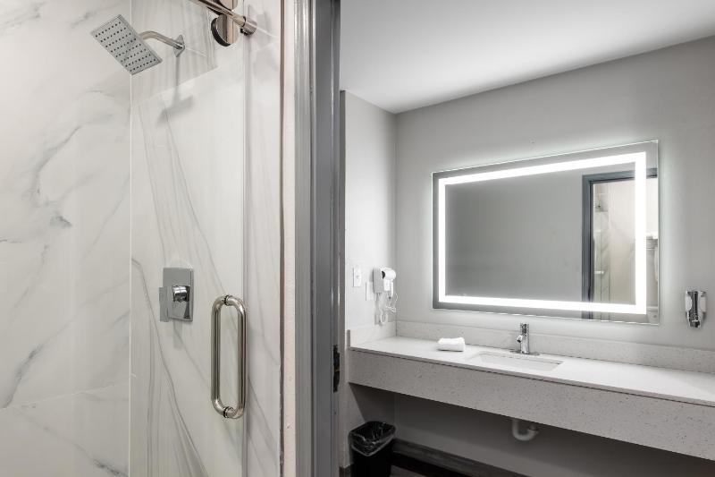 Deluxe Single Room image 2