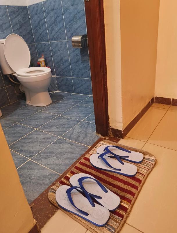 Havan Furnished Apartments-Milimani N8 - image 5