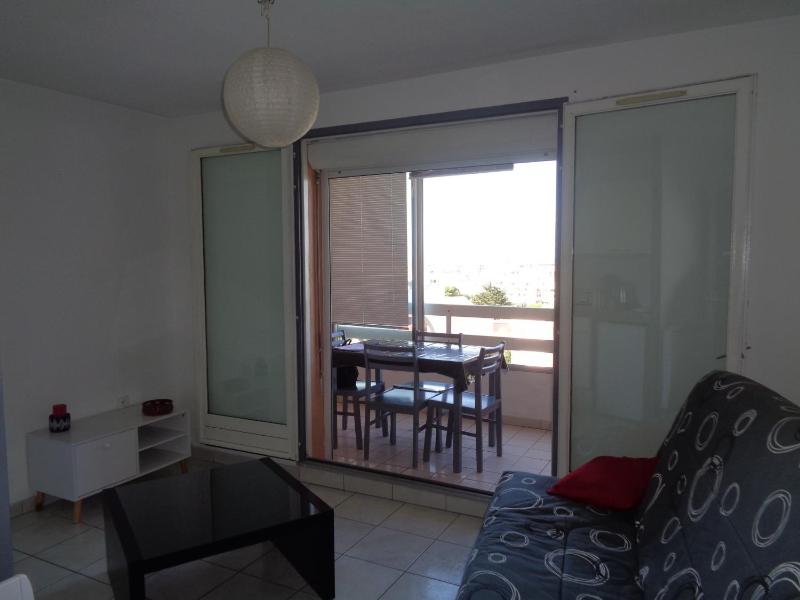 Appartement 1 chambre parking et piscine - image 3