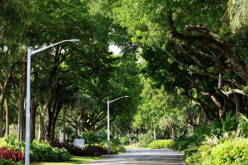 The Westin Fort Lauderdale - image 27