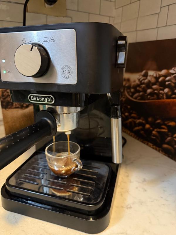 Bunk Bed in Mixed Dormitory Room image 1