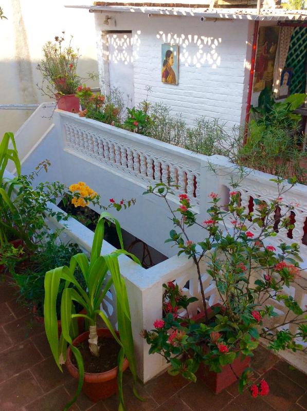 Daphne Hotel - image 7