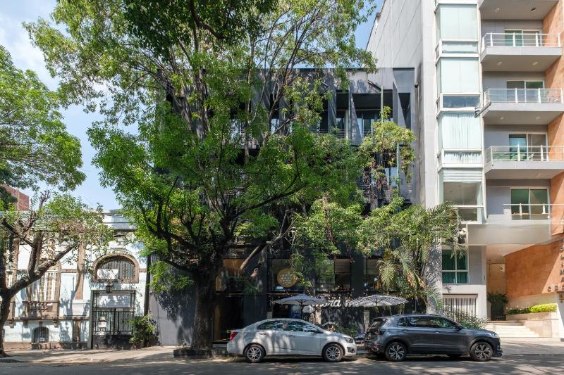 Boga Mexico City by Lumina - image 23