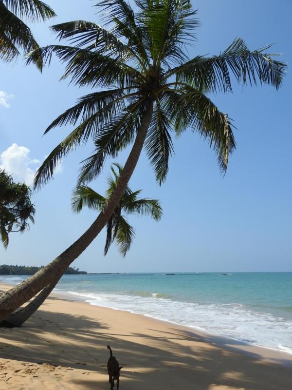 Villa Tropical Oasis - image 17