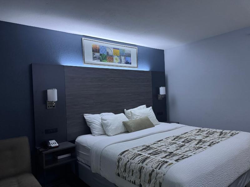 King Room - Non-Smoking image 3