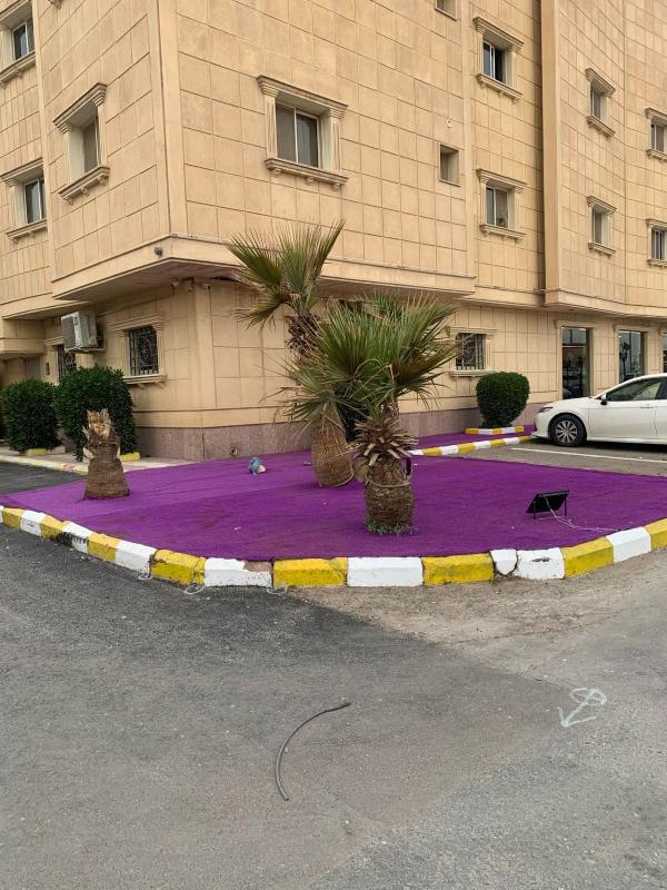 قمة النرجس للشقق المخدومة - اقتصادى - image 5