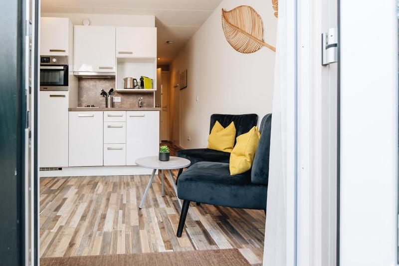 Studio with Terrace image 1