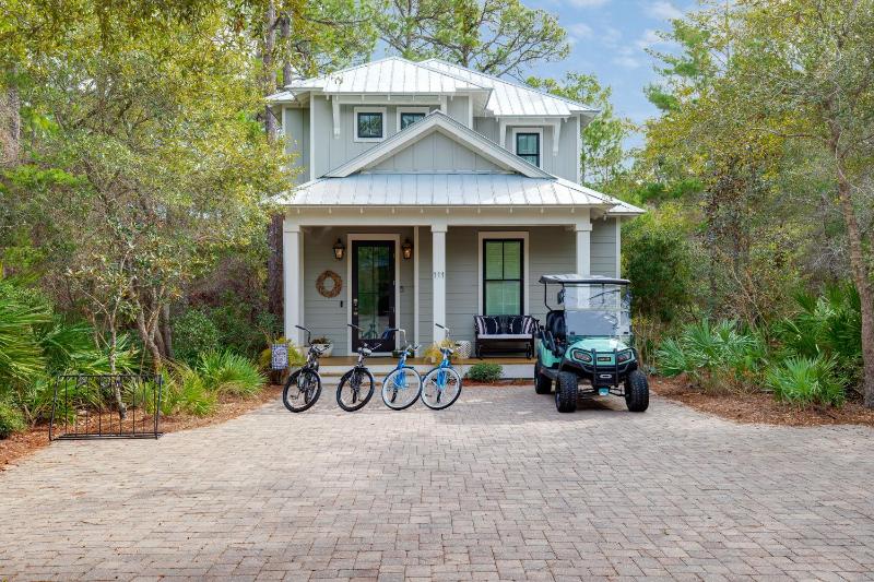The Best of Both Worlds at Seagrove Serenity - image 2