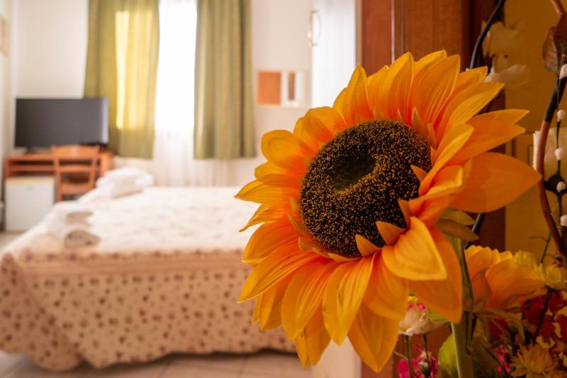 Double Room with Shared Bathroom image 4