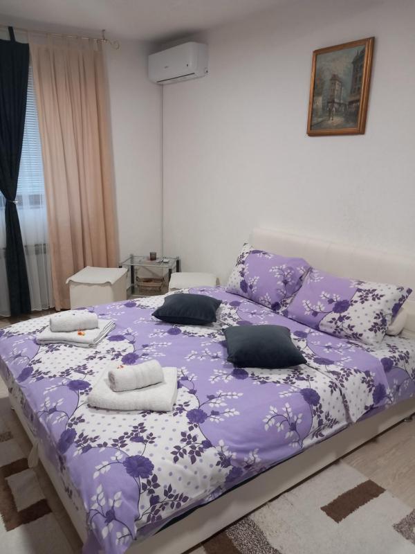 One-Bedroom Apartment image 3