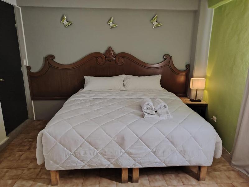 Cabo Tortuga Hotel Boutique - image 8