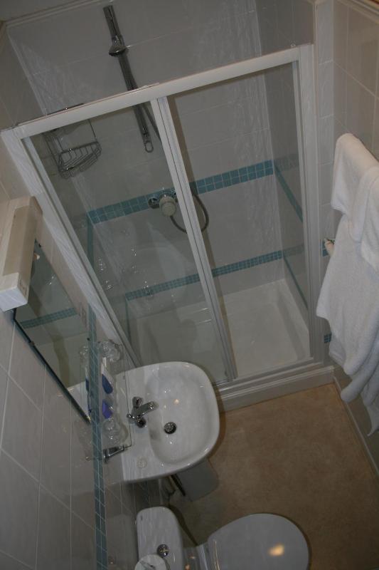 Haytor Hotel - image 14