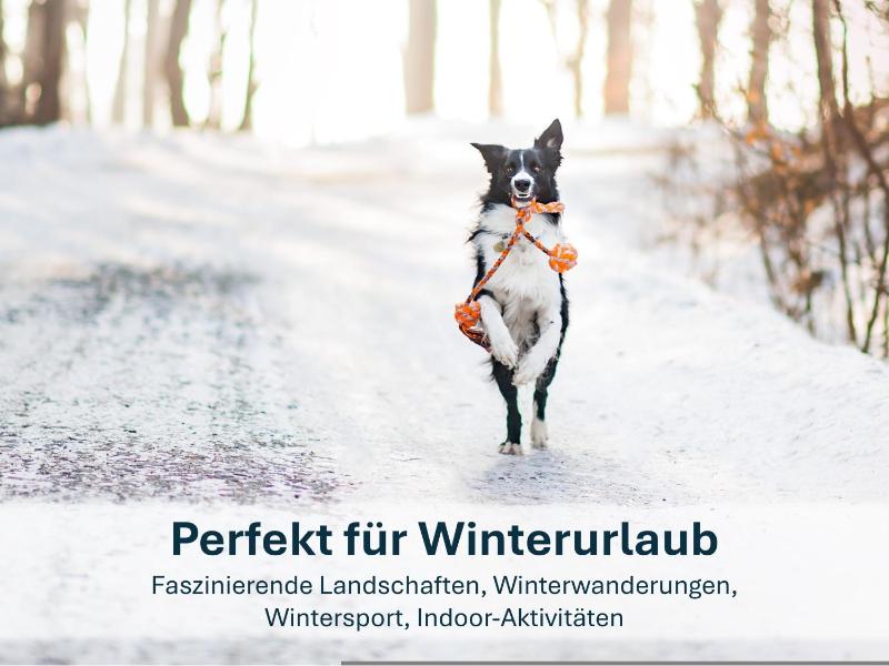 Ferienwohnung Lotti - image 14