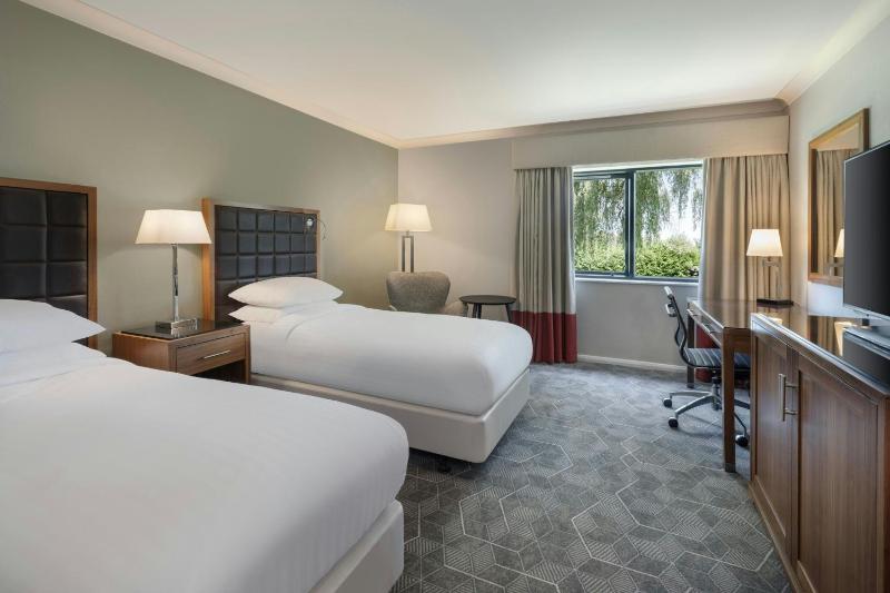 Deluxe Twin Room image 4