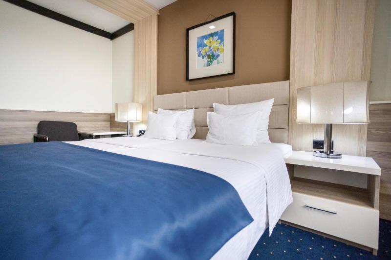 Standard King Room image 4