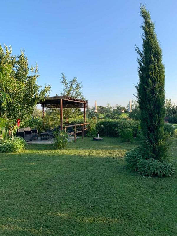Podere Casorbica - image 29