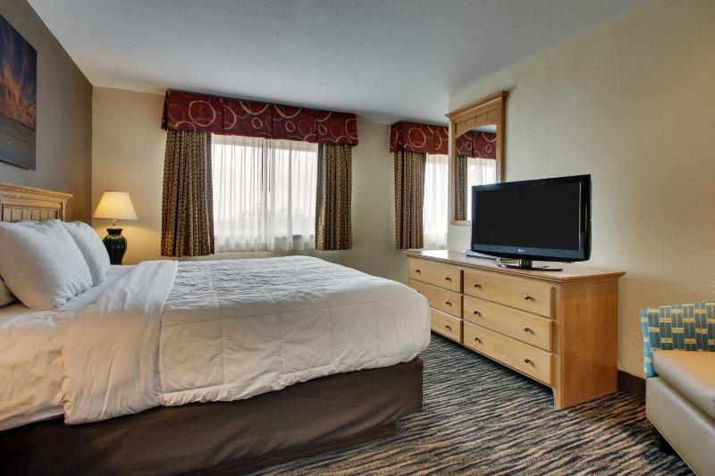Large Single Room image 1