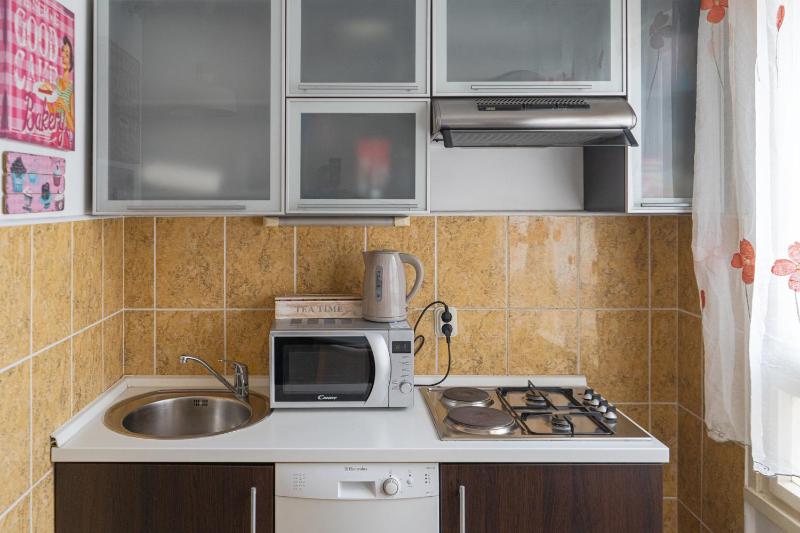 One-Bedroom Apartment image 4