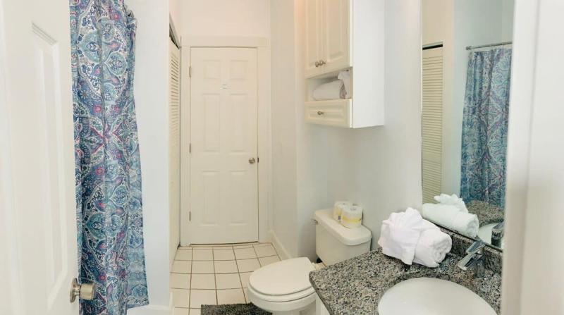 One bedroom gorgeous condo at Magnolia Place - image 18
