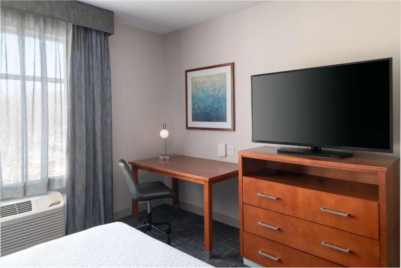 One-Bedroom Queen Suite image 4