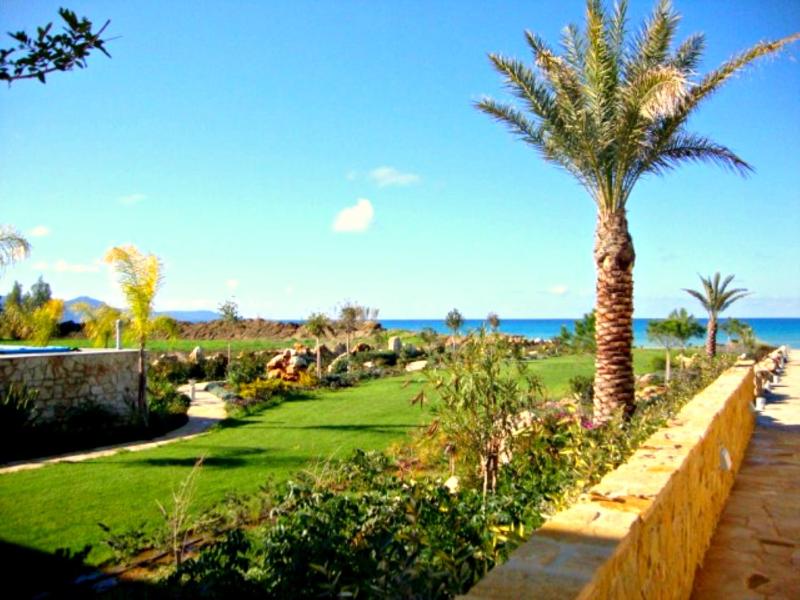 Deluxe Villa image 3