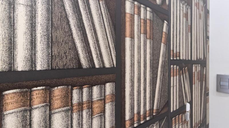 One-Bedroom Apartment image 2