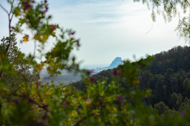Villa Verena - Plusholidays - image 14