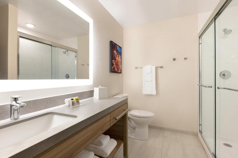 King Studio Suite image 2